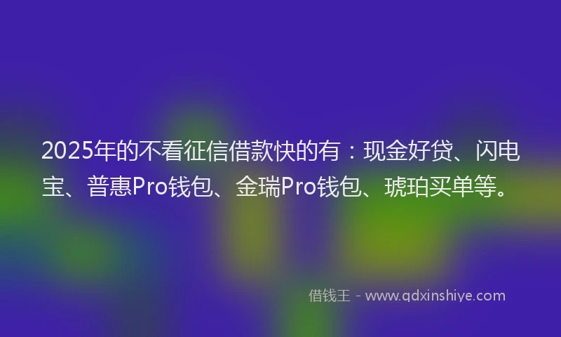 2025年的不看征信借款快的有：现金好贷、闪电宝、普惠Pro钱包、金瑞Pro钱包、琥珀买单等。