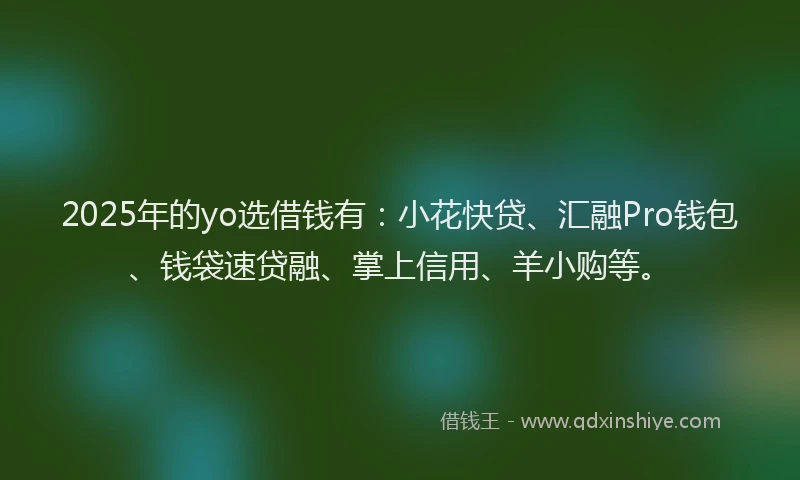 2025年的yo选借钱有：小花快贷、汇融Pro钱包、钱袋速贷融、掌上信用、羊小购等。