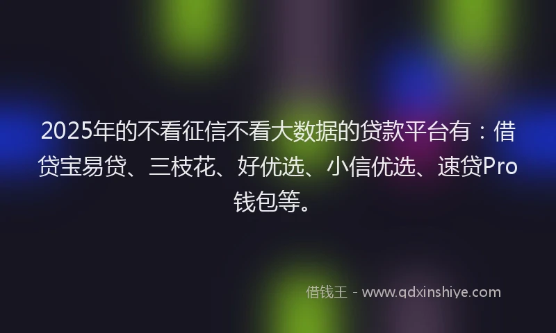 2025年的不看征信不看大数据的贷款平台有：借贷宝易贷、三枝花、好优选、小信优选、速贷Pro钱包等。