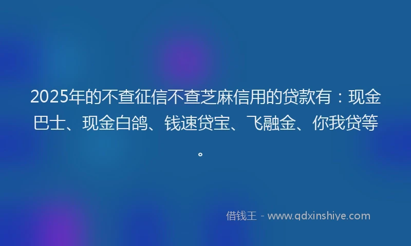 2025年的不查征信不查芝麻信用的贷款有：现金巴士、现金白鸽、钱速贷宝、飞融金、你我贷等。