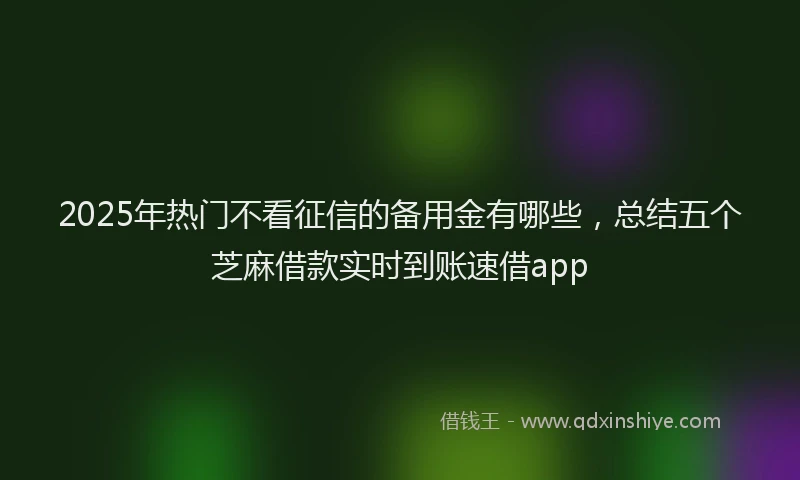 2025年热门不看征信的备用金有哪些，总结五个芝麻借款实时到账速借app