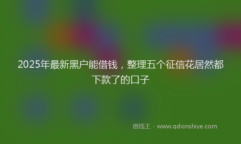 2025年最新黑户能借钱，整理五个征信花居然都下款了的口子