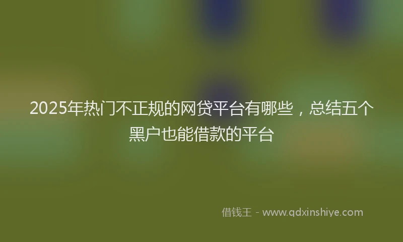 2025年热门不正规的网贷平台有哪些，总结五个黑户也能借款的平台