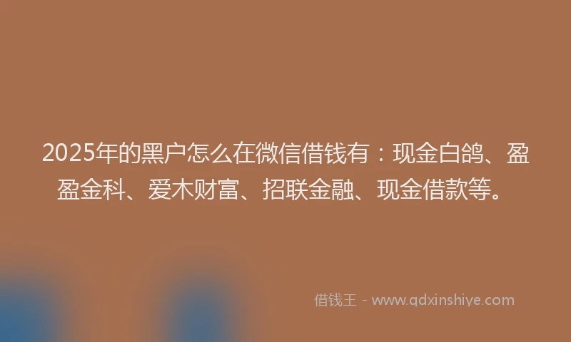 2025年的黑户怎么在微信借钱有：现金白鸽、盈盈金科、爱木财富、招联金融、现金借款等。