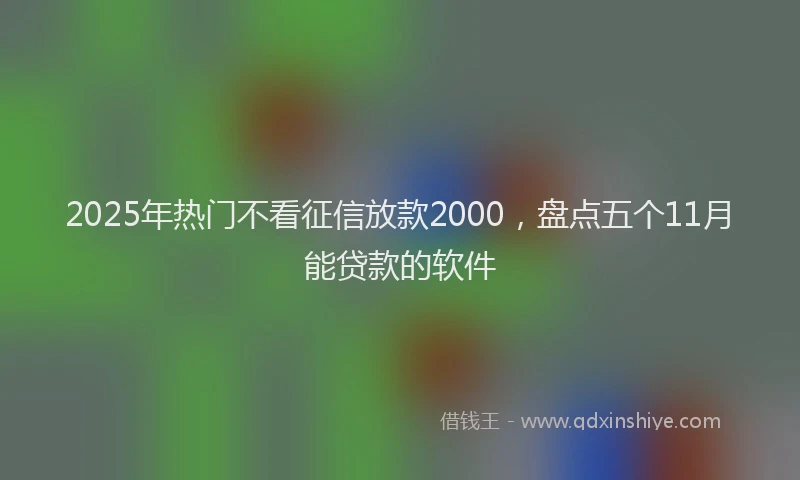 2025年热门不看征信放款2000，盘点五个11月能贷款的软件