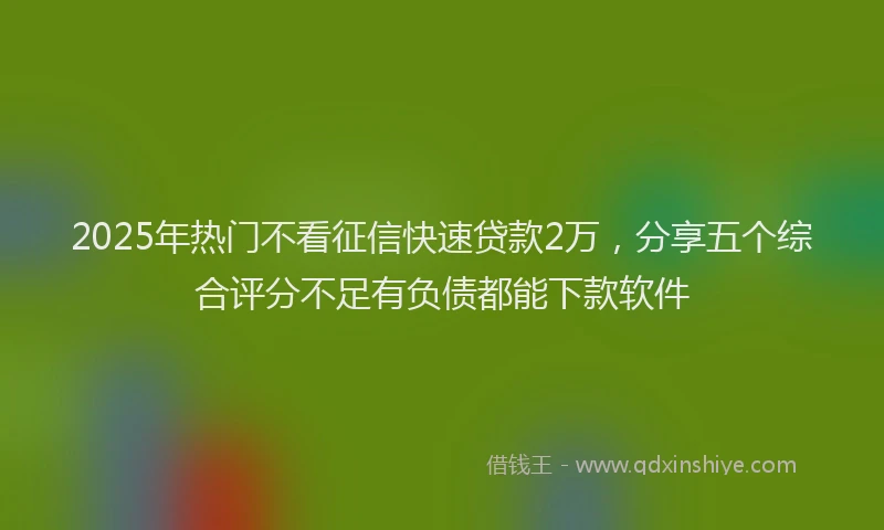 2025年热门不看征信快速贷款2万，分享五个综合评分不足有负债都能下款软件