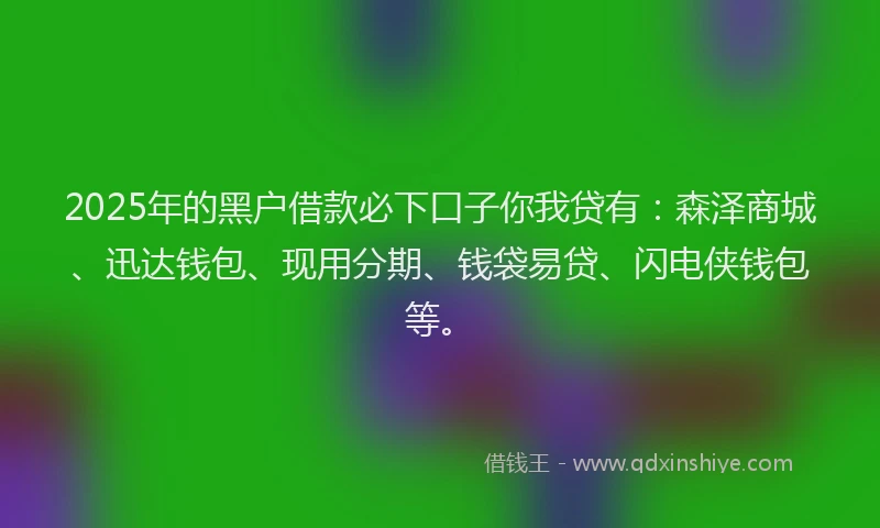 2025年的黑户借款必下口子你我贷有：森泽商城、迅达钱包、现用分期、钱袋易贷、闪电侠钱包等。