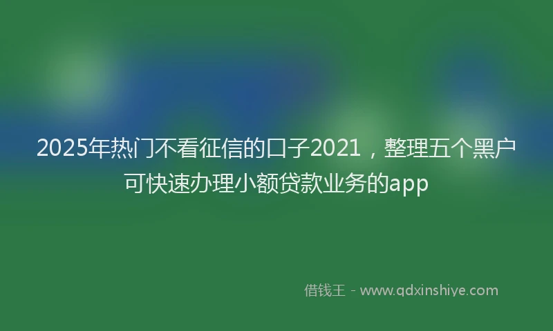 2025年热门不看征信的口子2021，整理五个黑户可快速办理小额贷款业务的app