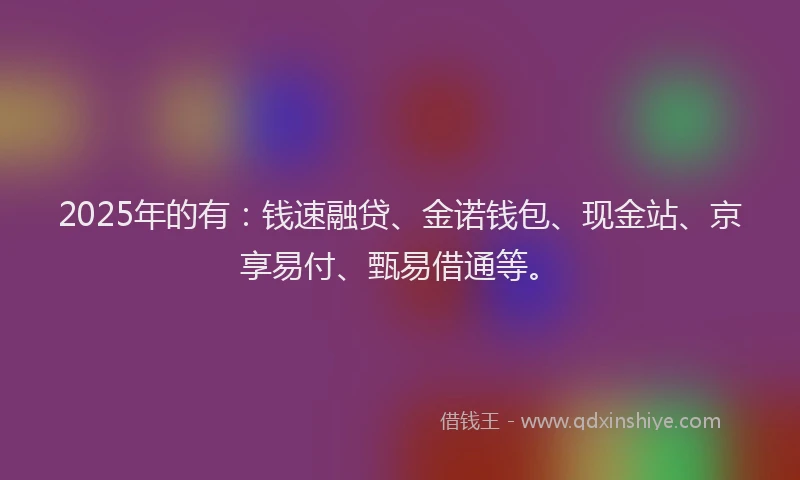 2025年的有：钱速融贷、金诺钱包、现金站、京享易付、甄易借通等。
