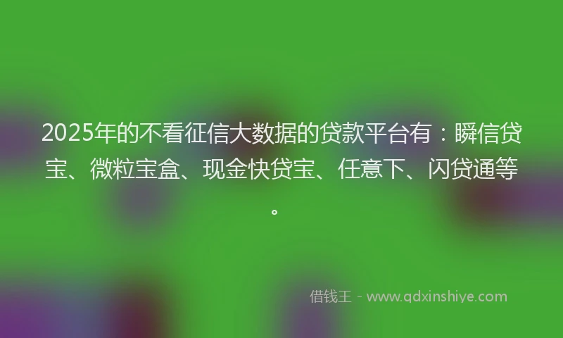 2025年的不看征信大数据的贷款平台有：瞬信贷宝、微粒宝盒、现金快贷宝、任意下、闪贷通等。