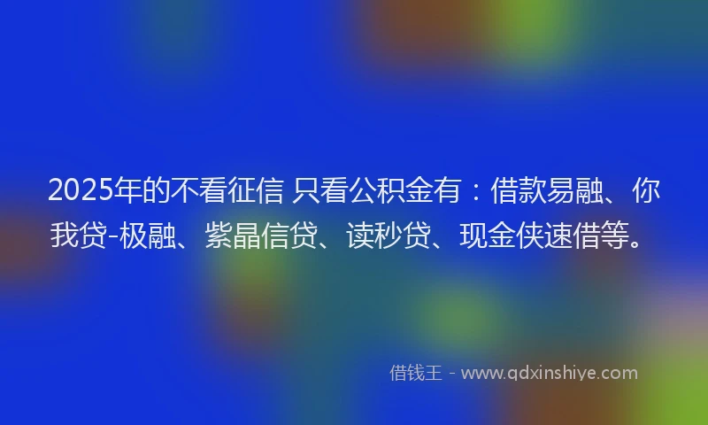 2025年的不看征信 只看公积金有：借款易融、你我贷-极融、紫晶信贷、读秒贷、现金侠速借等。