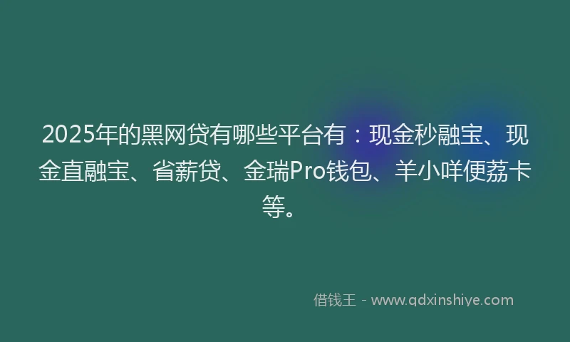 2025年的黑网贷有哪些平台有：现金秒融宝、现金直融宝、省薪贷、金瑞Pro钱包、羊小咩便荔卡等。