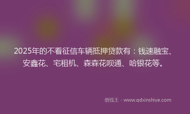 2025年的不看征信车辆抵押贷款有：钱速融宝、安鑫花、宅租机、森森花呗通、哈银花等。