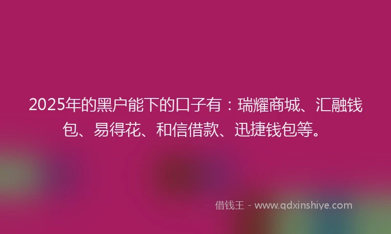 2025年的黑户能下的口子有：瑞耀商城、汇融钱包、易得花、和信借款、迅捷钱包等。
