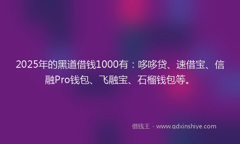2025年的黑道借钱1000有：哆哆贷、速借宝、信融Pro钱包、飞融宝、石榴钱包等。