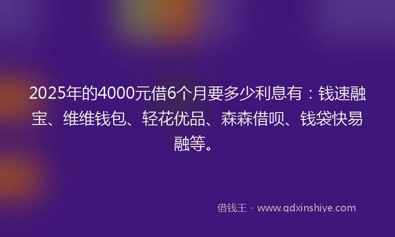 2025年的4000元借6个月要多少利息有：钱速融宝、维维钱包、轻花优品、森森借呗、钱袋快易融等。