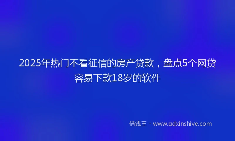 2025年热门不看征信的房产贷款，盘点5个网贷容易下款18岁的软件