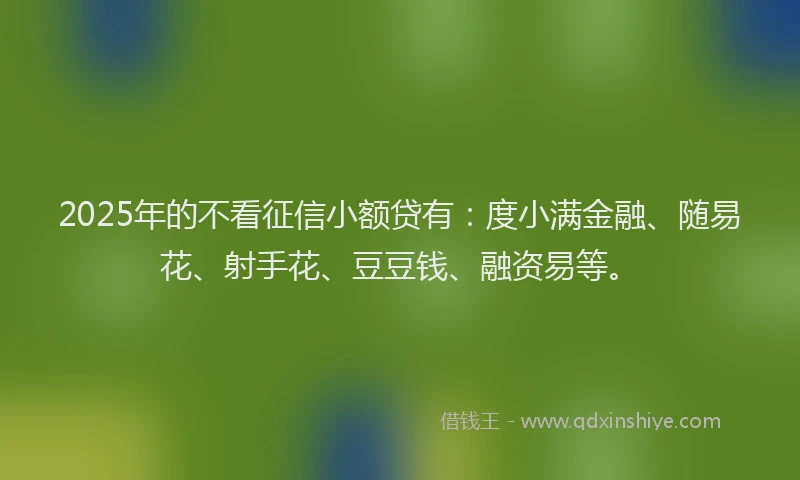 2025年的不看征信小额贷有：度小满金融、随易花、射手花、豆豆钱、融资易等。