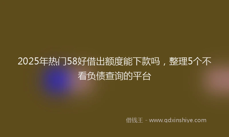 2025年热门58好借出额度能下款吗，整理5个不看负债查询的平台