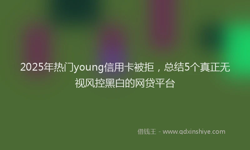 2025年热门young信用卡被拒，总结5个真正无视风控黑白的网贷平台