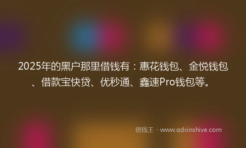 2025年的黑户那里借钱有：惠花钱包、金悦钱包、借款宝快贷、优秒通、鑫速Pro钱包等。