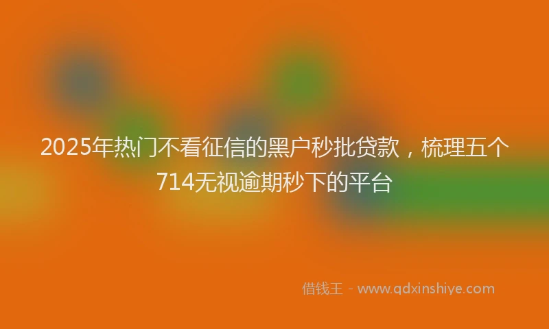 2025年热门不看征信的黑户秒批贷款，梳理五个714无视逾期秒下的平台
