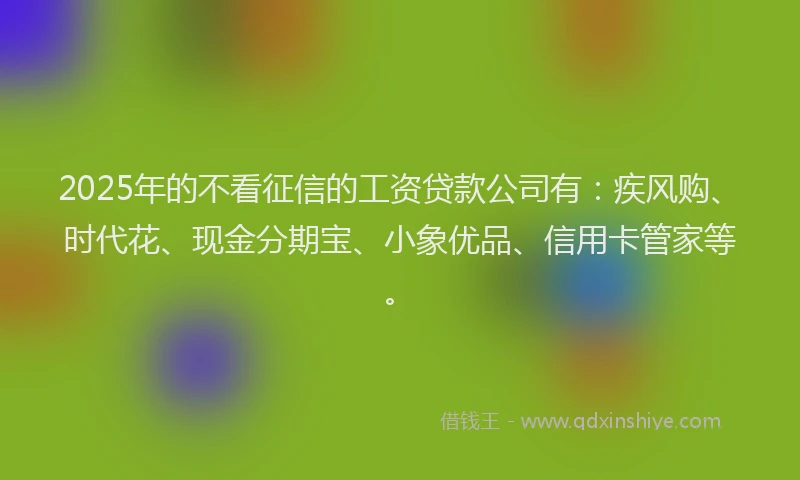 2025年的不看征信的工资贷款公司有：疾风购、时代花、现金分期宝、小象优品、信用卡管家等。