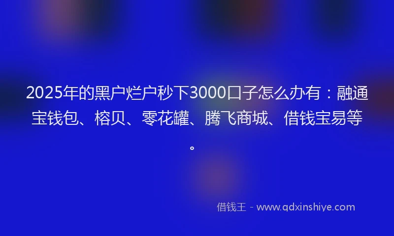 2025年的黑户烂户秒下3000口子怎么办有：融通宝钱包、榕贝、零花罐、腾飞商城、借钱宝易等。