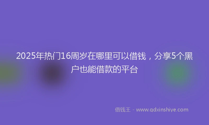 2025年热门16周岁在哪里可以借钱，分享5个黑户也能借款的平台