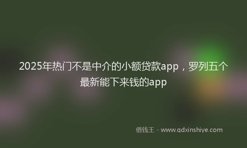 2025年热门不是中介的小额贷款app，罗列五个最新能下来钱的app