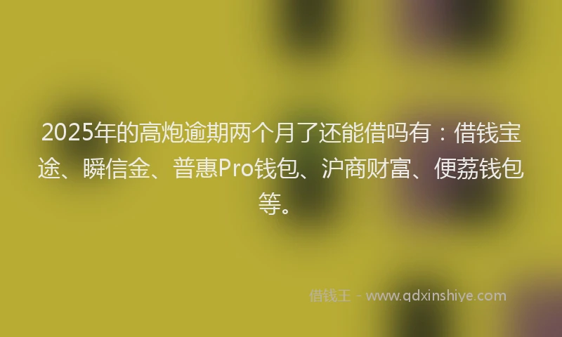 2025年的高炮逾期两个月了还能借吗有：借钱宝途、瞬信金、普惠Pro钱包、沪商财富、便荔钱包等。