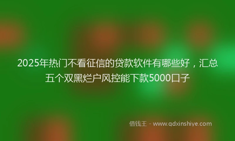2025年热门不看征信的贷款软件有哪些好，汇总五个双黑烂户风控能下款5000口子