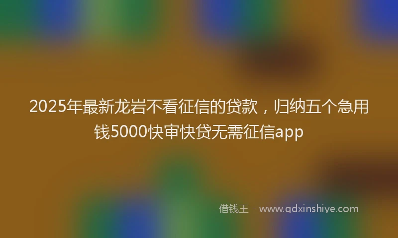 2025年最新龙岩不看征信的贷款，归纳五个急用钱5000快审快贷无需征信app