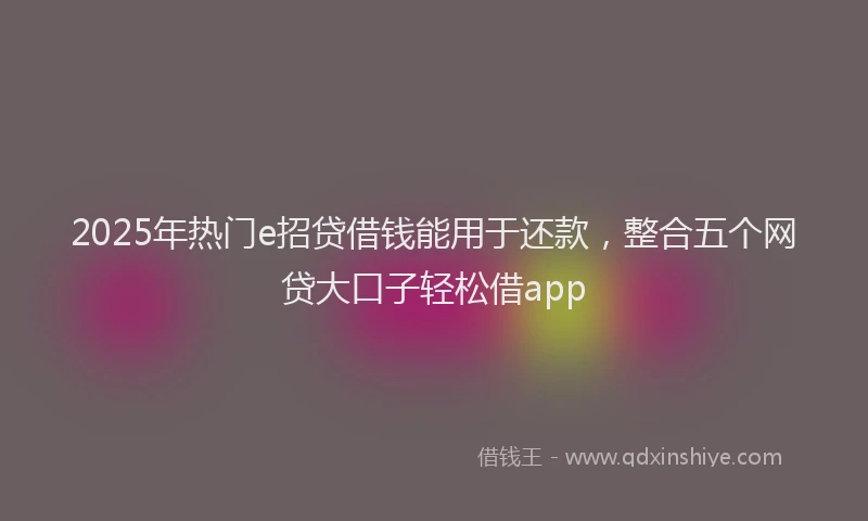 2025年热门e招贷借钱能用于还款，整合五个网贷大口子轻松借app