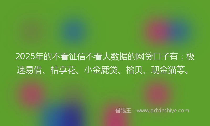 2025年的不看征信不看大数据的网贷口子有：极速易借、桔享花、小金鹿贷、榕贝、现金猫等。