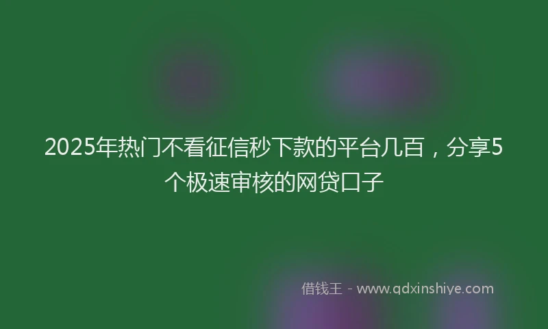 2025年热门不看征信秒下款的平台几百，分享5个极速审核的网贷口子