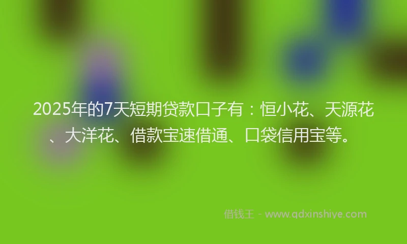 2025年的7天短期贷款口子有：恒小花、天源花、大洋花、借款宝速借通、口袋信用宝等。