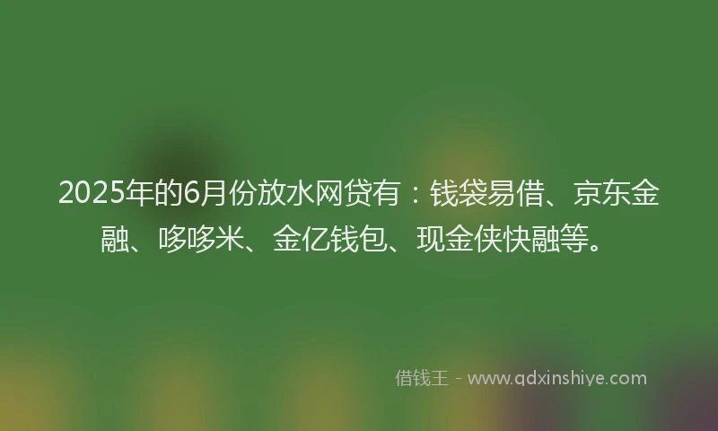2025年的6月份放水网贷有：钱袋易借、京东金融、哆哆米、金亿钱包、现金侠快融等。