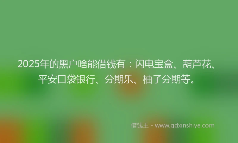 2025年的黑户啥能借钱有：闪电宝盒、葫芦花、平安口袋银行、分期乐、柚子分期等。