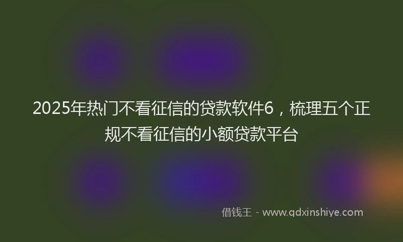 2025年热门不看征信的贷款软件6，梳理五个正规不看征信的小额贷款平台
