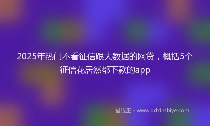 2025年热门不看征信跟大数据的网贷，概括5个征信花居然都下款的app