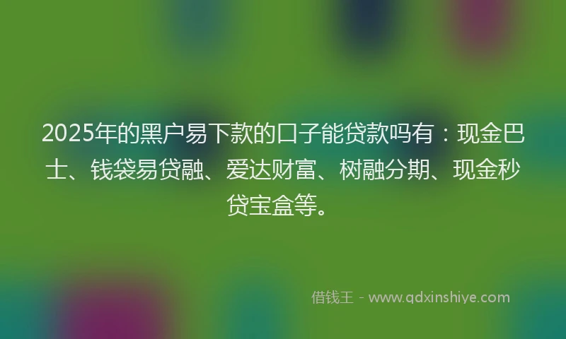 2025年的黑户易下款的口子能贷款吗有：现金巴士、钱袋易贷融、爱达财富、树融分期、现金秒贷宝盒等。