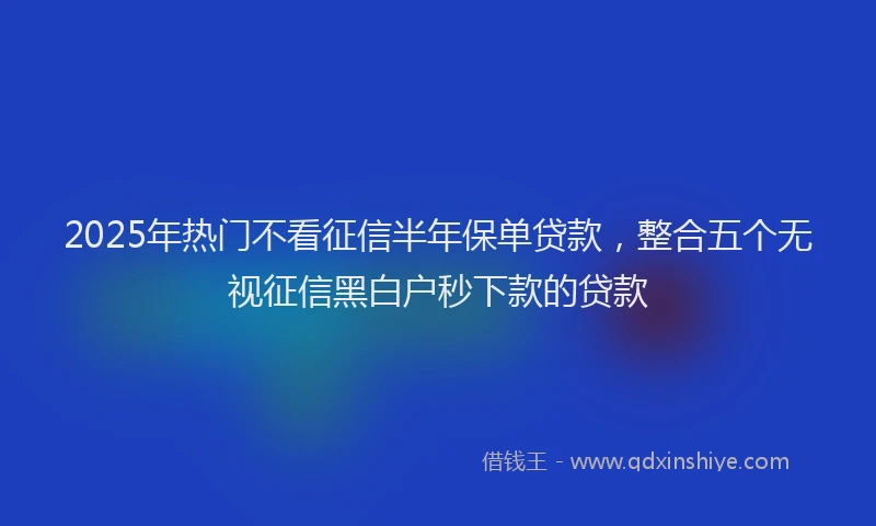2025年热门不看征信半年保单贷款，整合五个无视征信黑白户秒下款的贷款