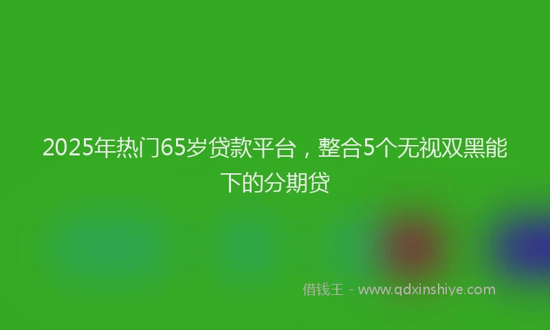 2025年热门65岁贷款平台，整合5个无视双黑能下的分期贷