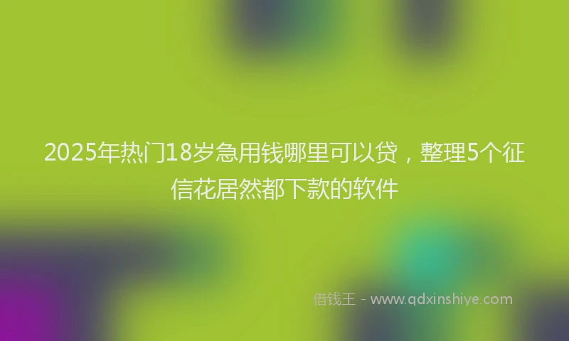2025年热门18岁急用钱哪里可以贷，整理5个征信花居然都下款的软件