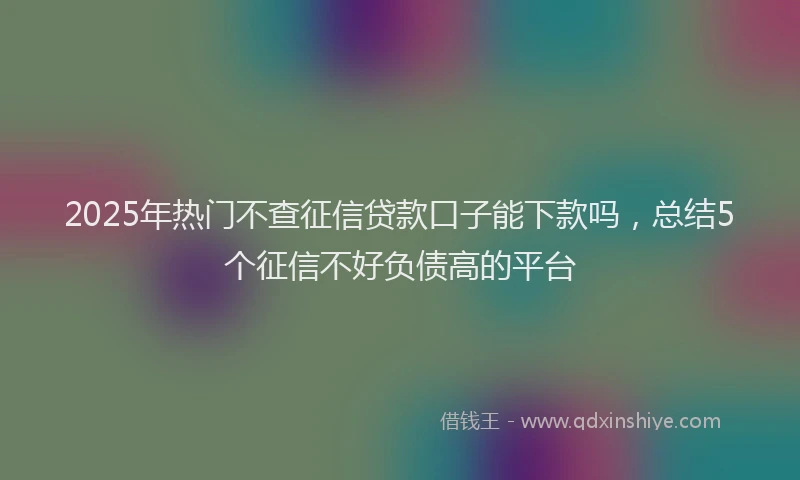 2025年热门不查征信贷款口子能下款吗，总结5个征信不好负债高的平台