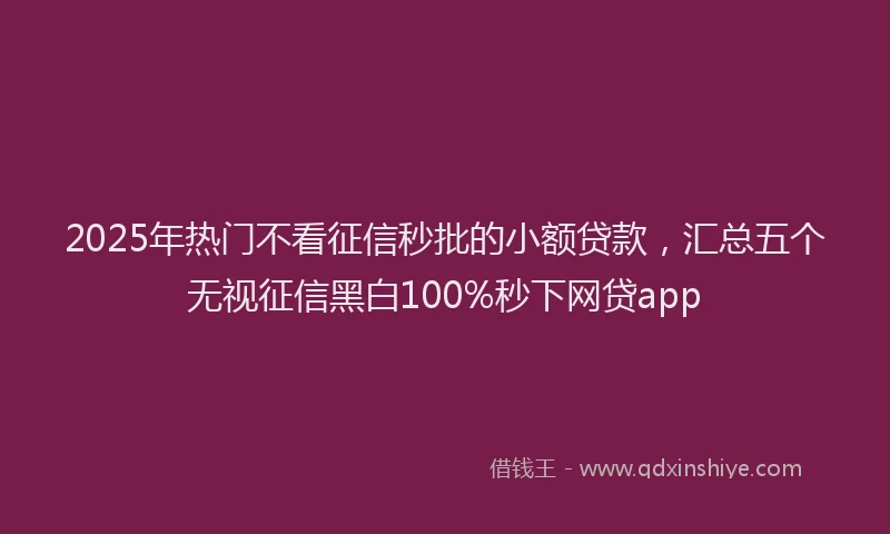 2025年热门不看征信秒批的小额贷款，汇总五个无视征信黑白100%秒下网贷app
