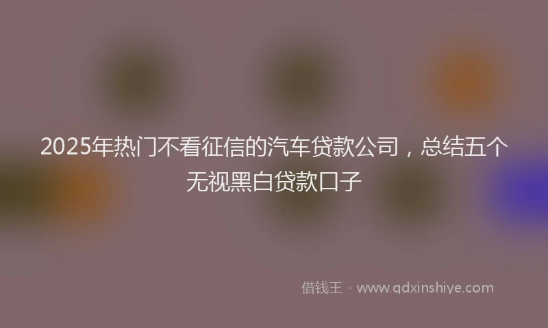 2025年热门不看征信的汽车贷款公司，总结五个无视黑白贷款口子