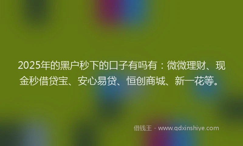 2025年的黑户秒下的口子有吗有：微微理财、现金秒借贷宝、安心易贷、恒创商城、新一花等。