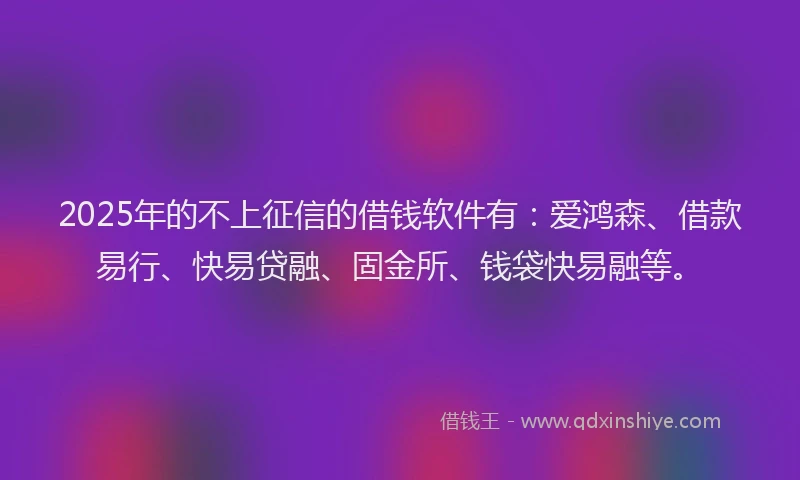 2025年的不上征信的借钱软件有：爱鸿森、借款易行、快易贷融、固金所、钱袋快易融等。